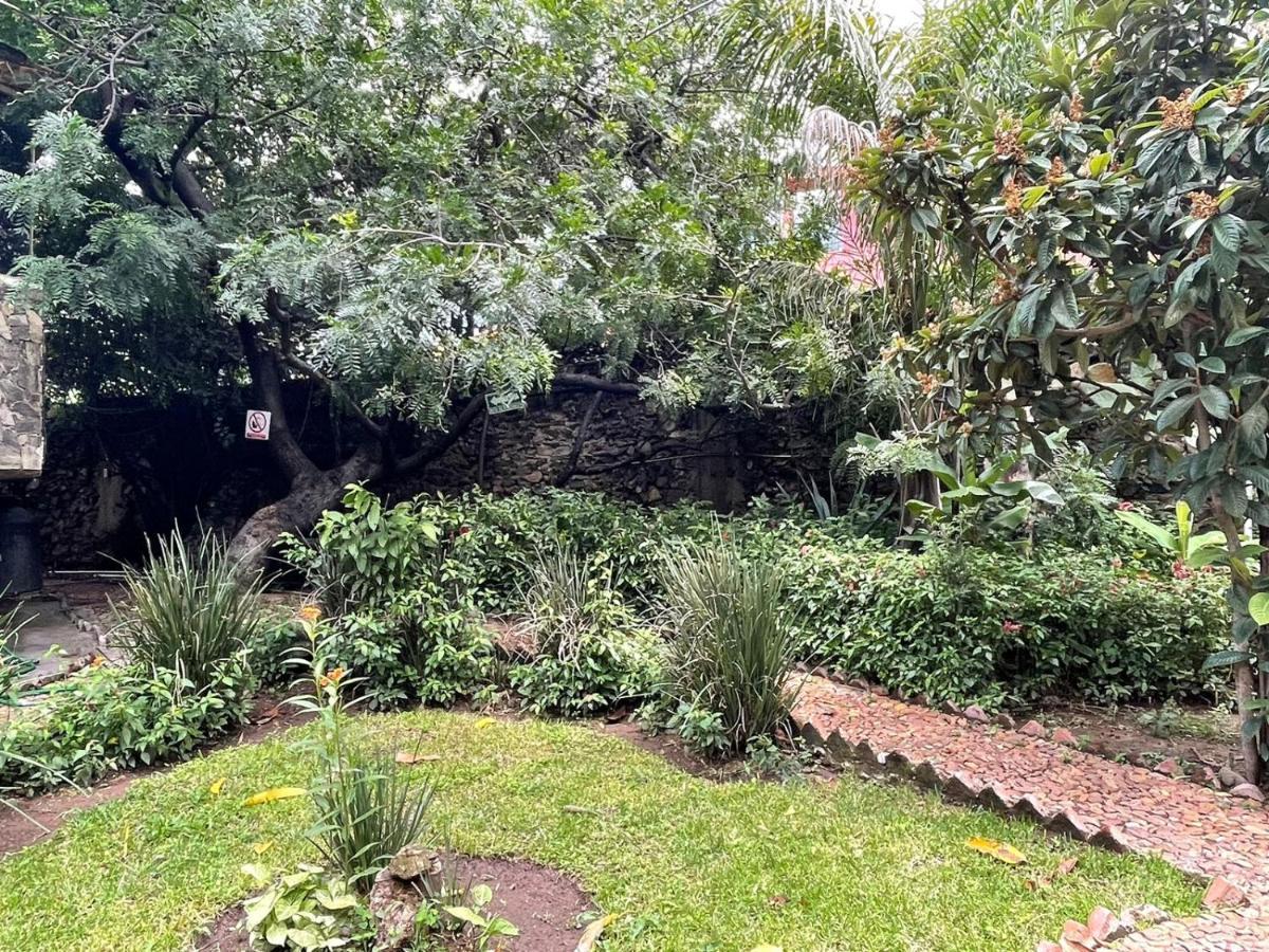 La Casa De Los Mangos Ajijic San Antonio Tlayacapan Ngoại thất bức ảnh