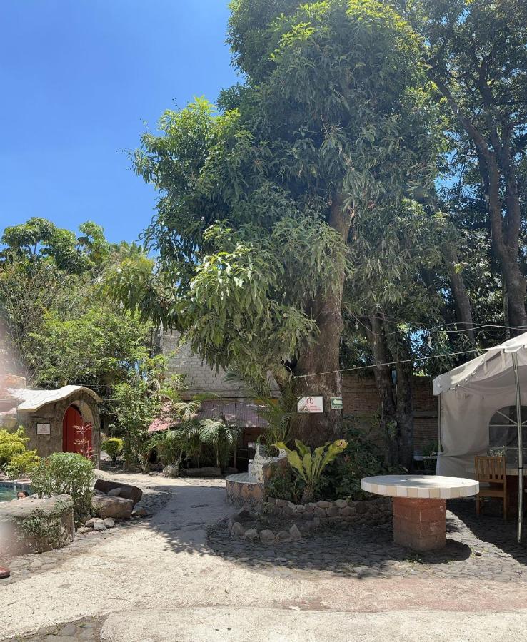 La Casa De Los Mangos Ajijic San Antonio Tlayacapan Ngoại thất bức ảnh